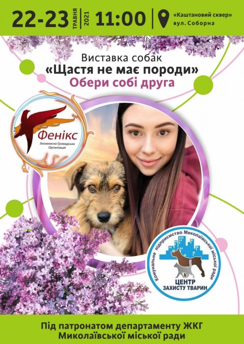 У Миколаєві пройде акція «Щастя не має породи»