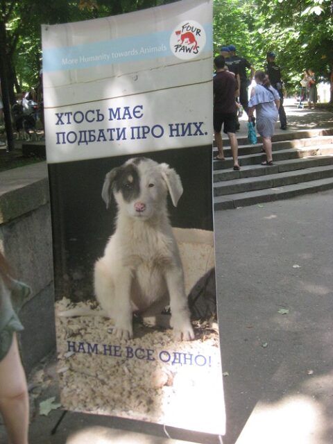Счастье, не имеет породы!