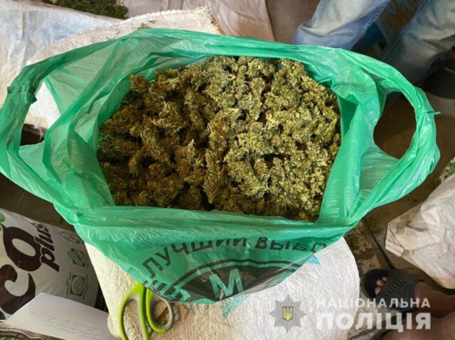 Вознесенець зберігав вдома зброю та наркотики на півмільйона гривень (ФОТО, ВІДЕО)