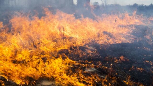 На Миколаївщині оголосили надзвичайну пожежну небезпеку