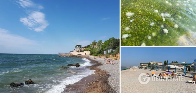 У Коблевому море перетворилося на 