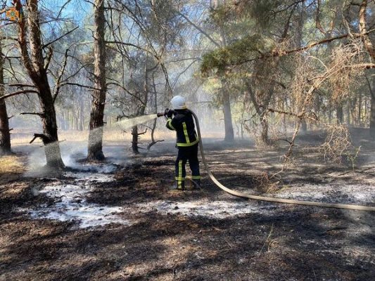 Під Миколаєвом горів Балабанівський ліс