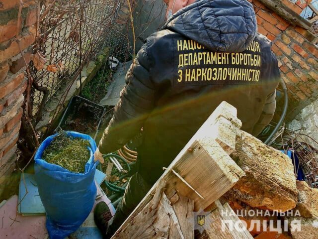 Канабіс на 400 тис гривень вилучили правоохоронці у двох мешканців Вознесенська