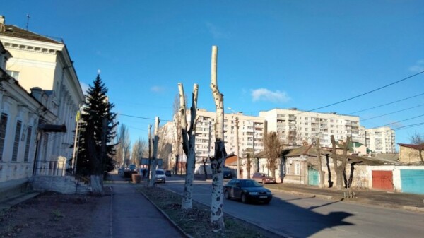 У Миколаєві продовжується варварська обрізка дерев