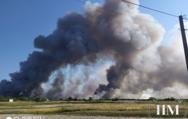 Заповідна Кінбурнська коса в окупації страждає від лісових пожеж