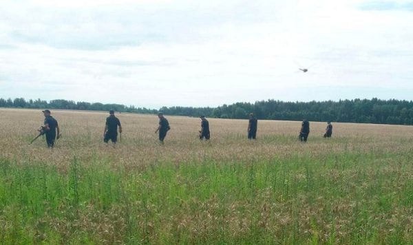У Мінагро розповіли, які землі розмінують у першу чергу