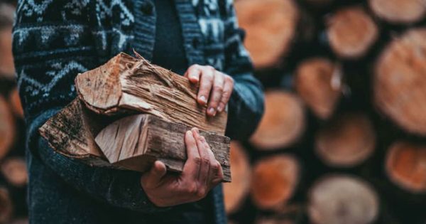 До відновлення країни залучили армію безробітних
