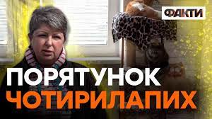 Їх викидали на смітник у пакетах: історія жінки, яка рятувала тварин на Миколаївщині
