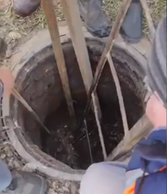 Миколаївські комунальники врятували собаку, який впав уколодязь з фекаліями