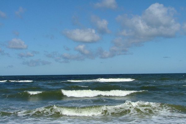 Після підриву Каховської ГЕС у Чорному морі може бути вірус поліомієліту - інфекціоністка