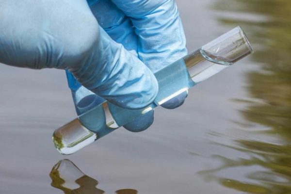 В Одесі виявили холероподібний вібріон у морській воді