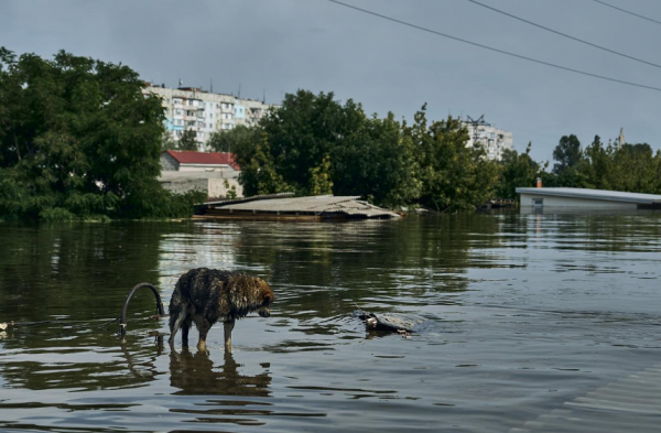 В ООН заявили, що Росія не надає рятувальникам почати евакуацію людей