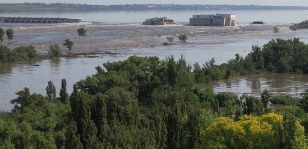 Теракт на Каховській ГЕС: більшість живих організмів, що населяли Каховське водосховище, вже загинули або загинуть у найближчі дні