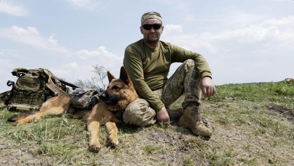 Чотирилапий побратим. Морпіхи розповіли про свого бойового товариша