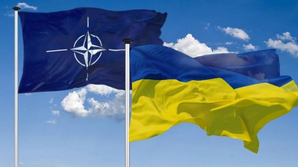 Миколаївці проти територіальних поступок в обмін на членство в НАТО
