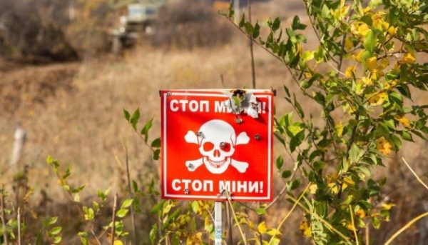 На Миколаївщині гуманітарне розмінування провели на площі 60 тисяч гектарів