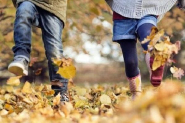Миколаїв: активності для школярів під час осінніх канікул