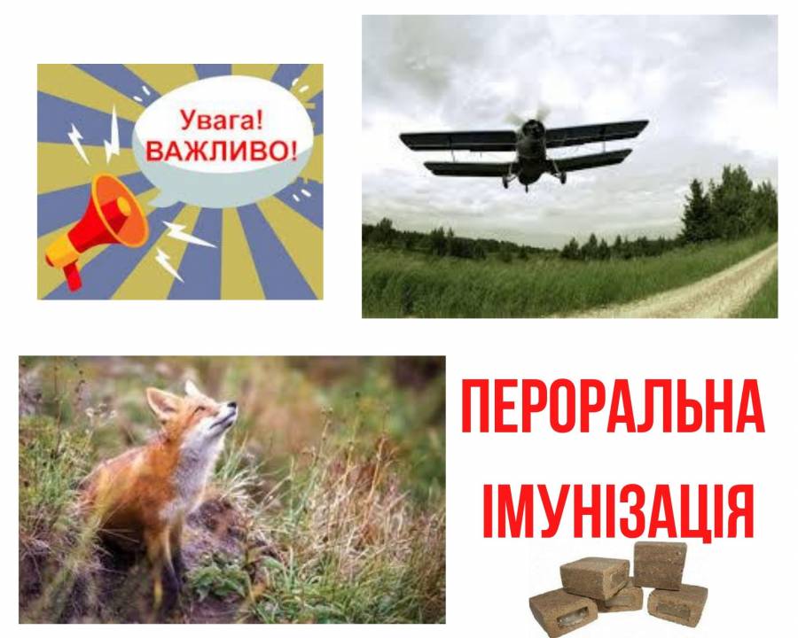 На території Миколаївщини здійснюватиметься імунізація диких тварин від сказу