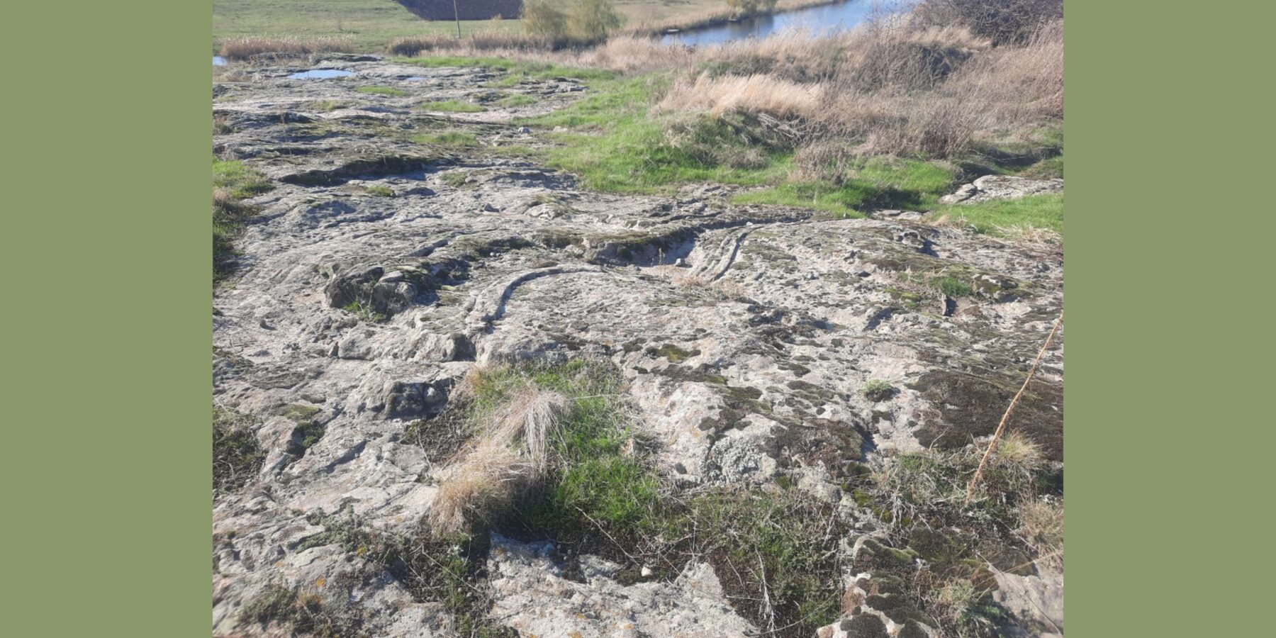 На Миколаївщині археологи досліджують петрогліф “Софіївські змії”