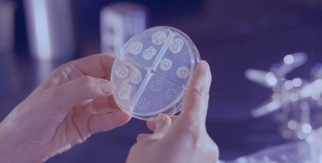 Світ готується до нової загадкової пандемії «Хвороби X»