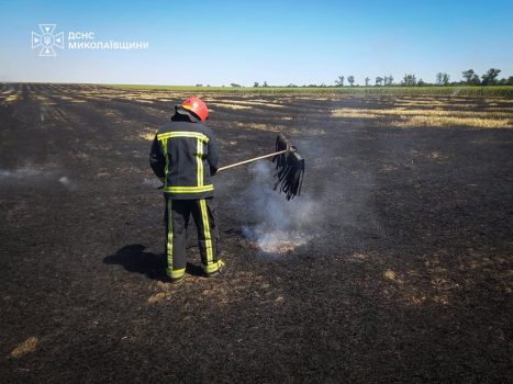 На Миколаївщині під час гасіння чагарників виявили мертвого чоловіка