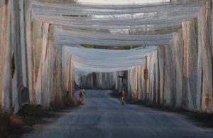 Понад 2 тисячі кілометрів доріг отримали захист від ворожих безпілотників